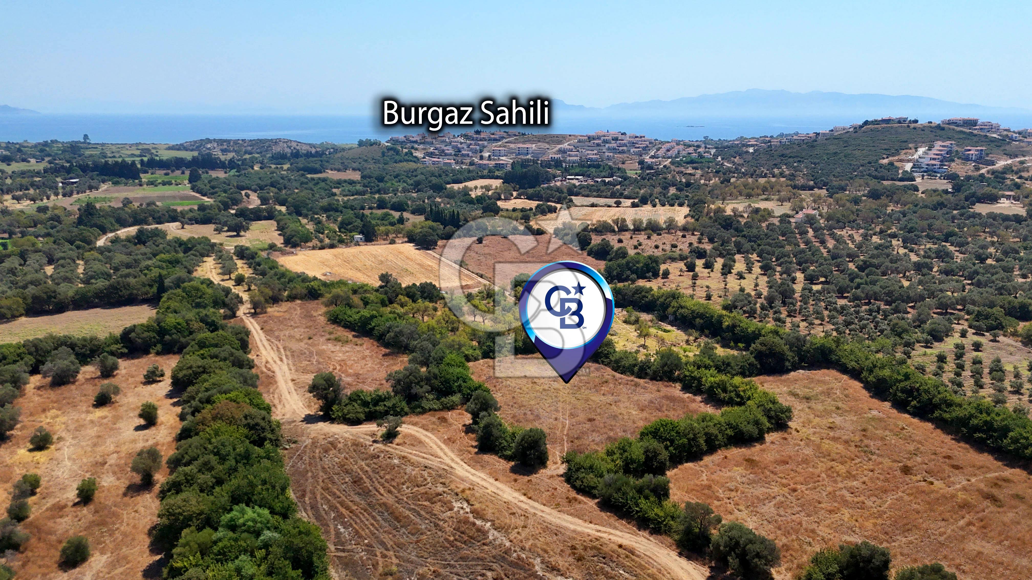 Datça Burgaz Arkası'nda 3.785 metrekare Tarla