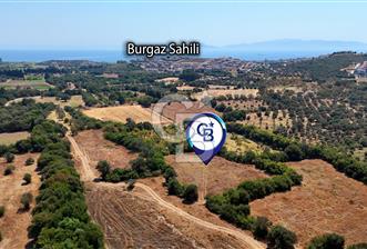 Datça Burgaz Arkası'nda 3.785 metrekare Tarla - 1 - 368534