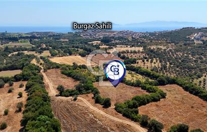Datça Burgaz Arkası'nda 3.785 metrekare Tarla