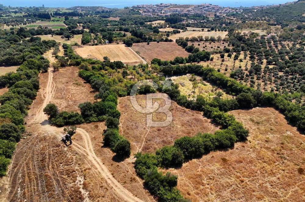 Datça Burgaz Arkası'nda 3.785 metrekare Tarla