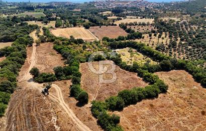 Datça Burgaz Arkası'nda 3.785 metrekare Tarla