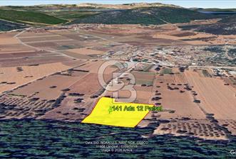 Urla Nohutalan Satılık Doğa İçinde Yatırımlık Tarla - 8 - 368603