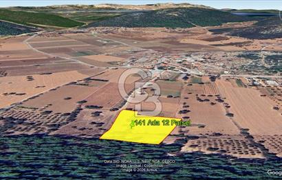Urla Nohutalan Satılık Doğa İçinde Yatırımlık Tarla