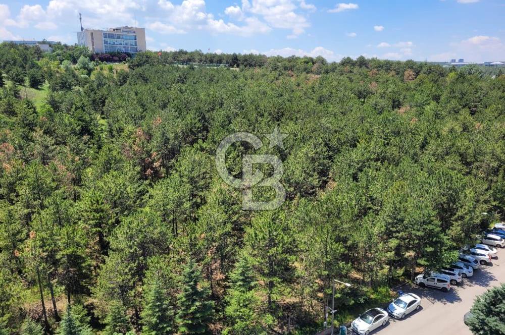 Bilkent -1 Çamlık Sitesi FULL +FULL Yapılı Güvenlik-Orman M. 3+1
