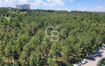 Bilkent -1 Çamlık Sitesi FULL +FULL Yapılı Güvenlik-Orman M. 3+1