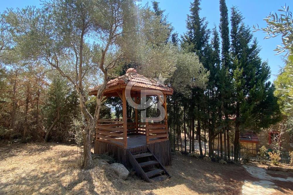TORBALI KARAOT KÖYÜ SATILIK 2 ADET TAŞ EV