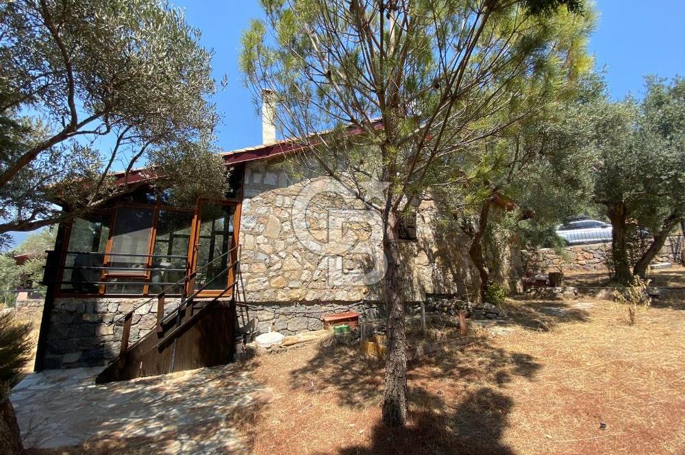 TORBALI KARAOT KÖYÜ SATILIK 2 ADET TAŞ EV