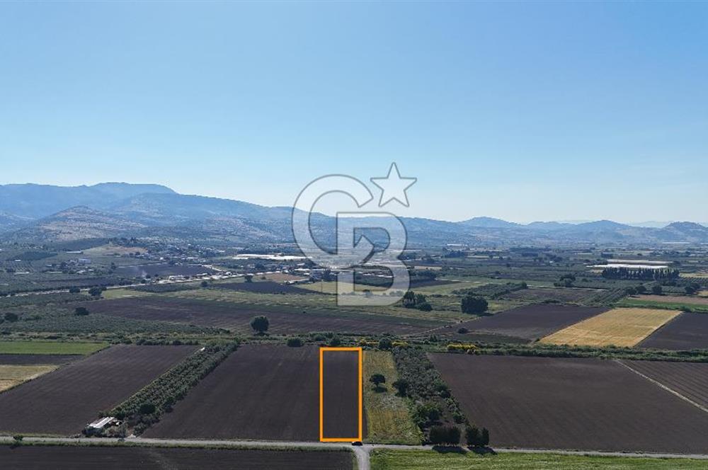 Dikili Kabakum Satılık Tarla 5258 Metrekare