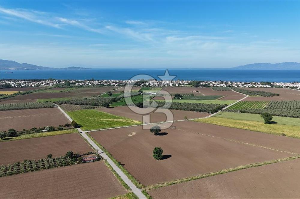 Dikili Kabakum Satılık Tarla 5258 Metrekare