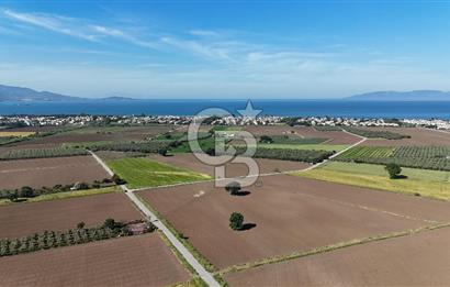Dikili Kabakum Satılık Tarla 5258 Metrekare