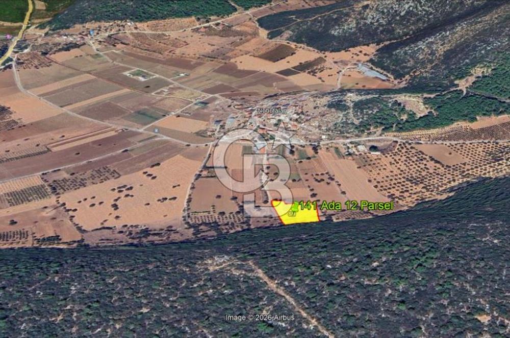 Urla Nohutalan Satılık Doğa İçinde Yatırımlık Tarla