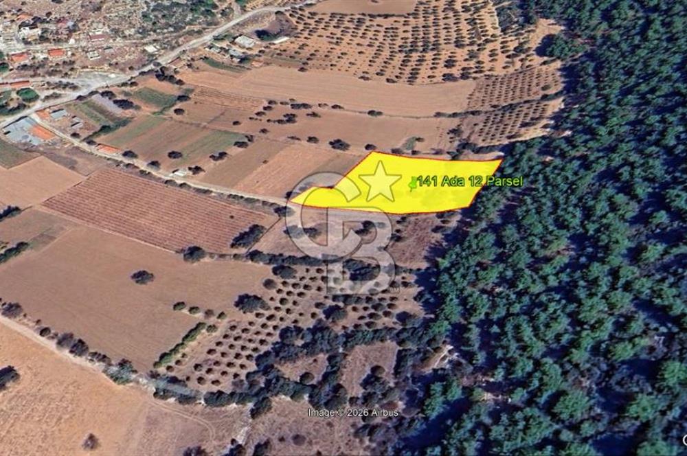 Urla Nohutalan Satılık Doğa İçinde Yatırımlık Tarla