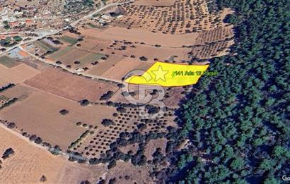 Urla Nohutalan Satılık Doğa İçinde Yatırımlık Tarla