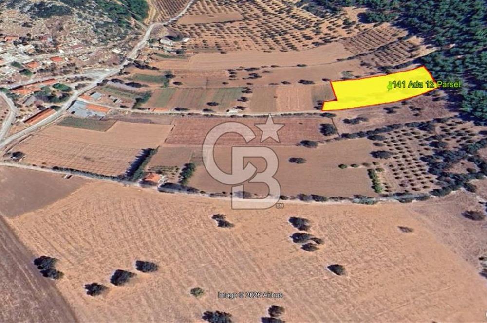 Urla Nohutalan Satılık Doğa İçinde Yatırımlık Tarla