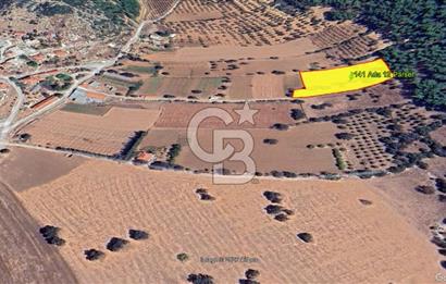 Urla Nohutalan Satılık Doğa İçinde Yatırımlık Tarla
