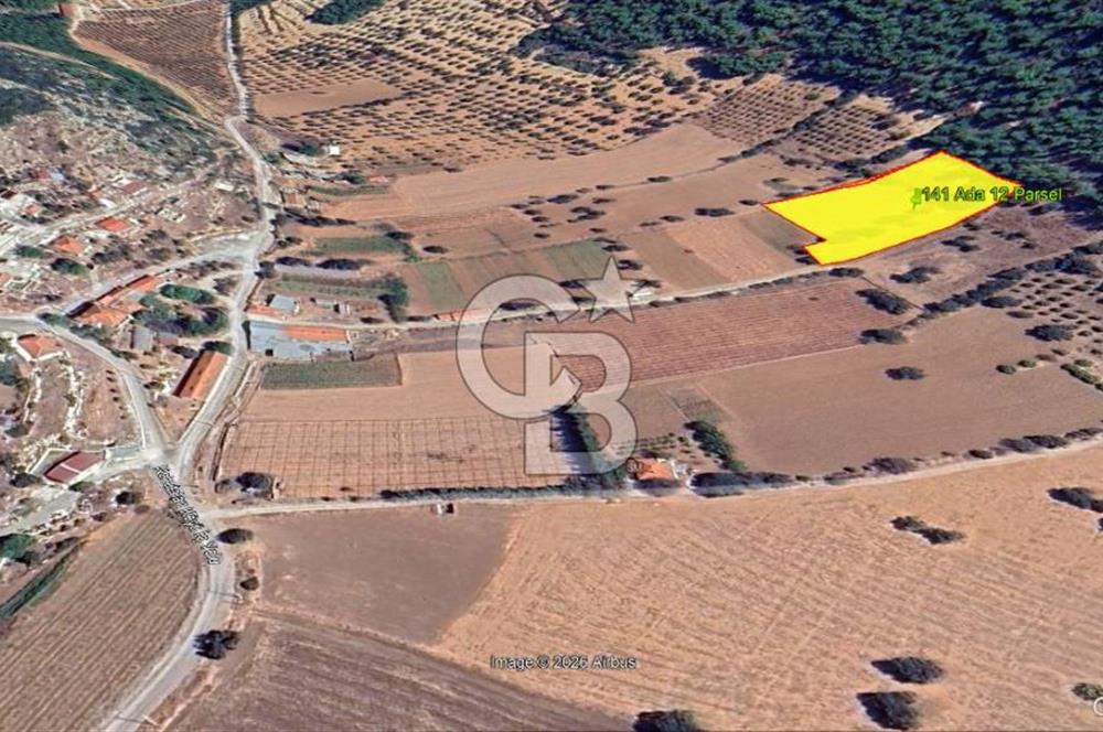 Urla Nohutalan Satılık Doğa İçinde Yatırımlık Tarla