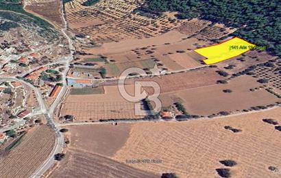 Urla Nohutalan Satılık Doğa İçinde Yatırımlık Tarla