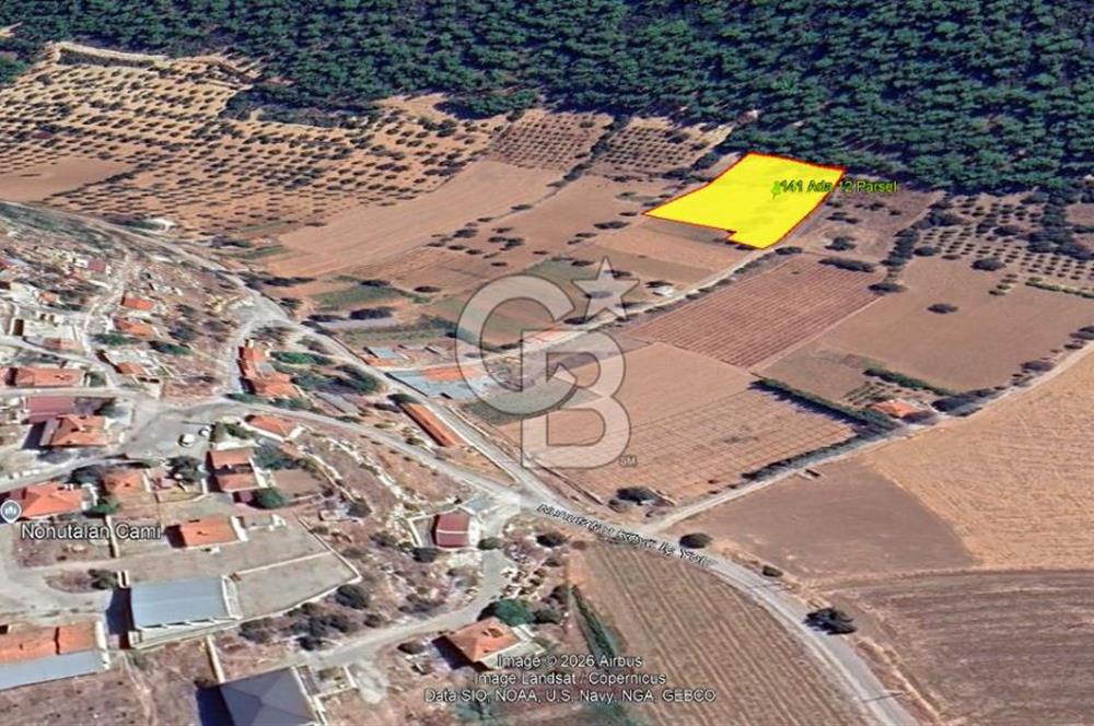 Urla Nohutalan Satılık Doğa İçinde Yatırımlık Tarla