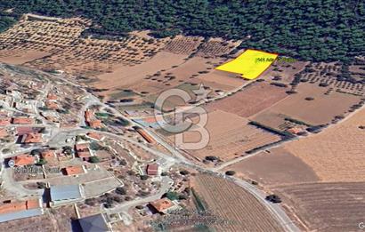 Urla Nohutalan Satılık Doğa İçinde Yatırımlık Tarla