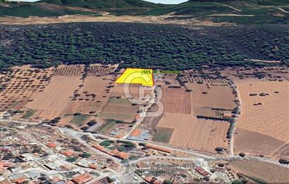 Urla Nohutalan Satılık Doğa İçinde Yatırımlık Tarla