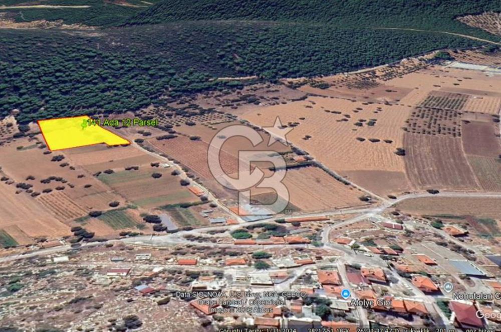 Urla Nohutalan Satılık Doğa İçinde Yatırımlık Tarla