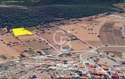 Urla Nohutalan Satılık Doğa İçinde Yatırımlık Tarla