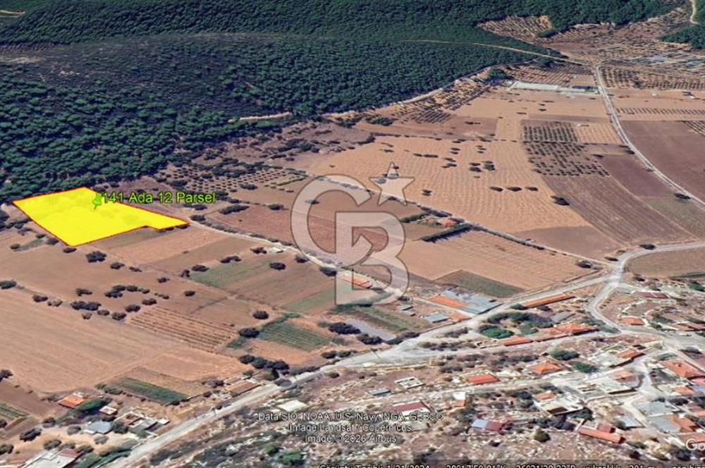 Urla Nohutalan Satılık Doğa İçinde Yatırımlık Tarla