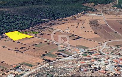 Urla Nohutalan Satılık Doğa İçinde Yatırımlık Tarla
