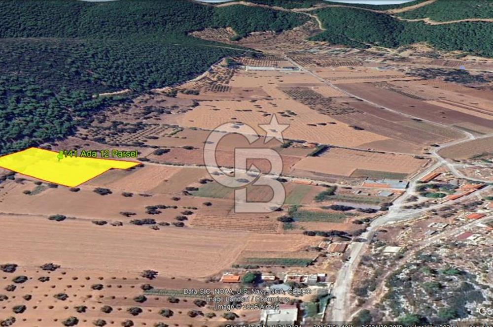 Urla Nohutalan Satılık Doğa İçinde Yatırımlık Tarla