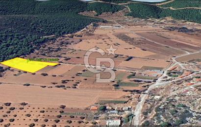 Urla Nohutalan Satılık Doğa İçinde Yatırımlık Tarla