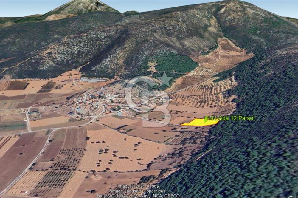 Urla Nohutalan Satılık Doğa İçinde Yatırımlık Tarla