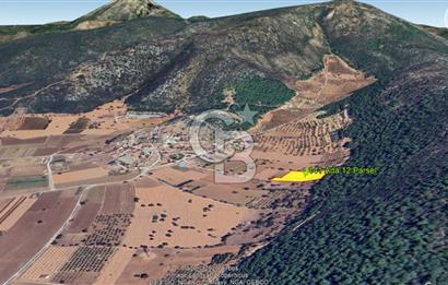 Urla Nohutalan Satılık Doğa İçinde Yatırımlık Tarla