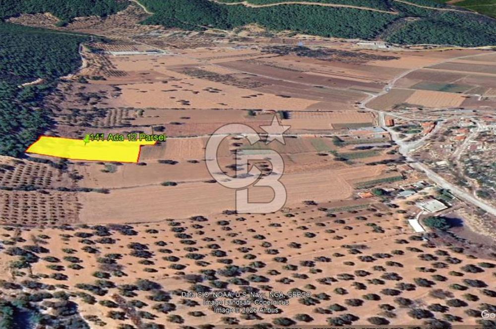 Urla Nohutalan Satılık Doğa İçinde Yatırımlık Tarla