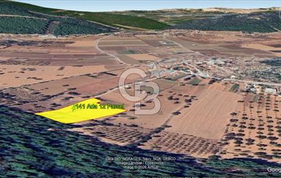 Urla Nohutalan Satılık Doğa İçinde Yatırımlık Tarla