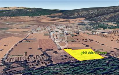 Urla Nohutalan Satılık Doğa İçinde Yatırımlık Tarla