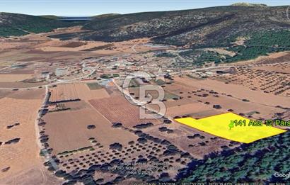 Urla Nohutalan Satılık Doğa İçinde Yatırımlık Tarla