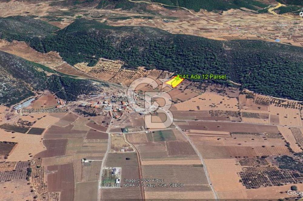 Urla Nohutalan Satılık Doğa İçinde Yatırımlık Tarla