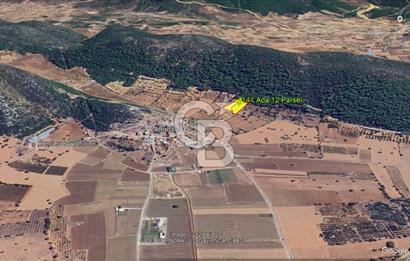 Urla Nohutalan Satılık Doğa İçinde Yatırımlık Tarla