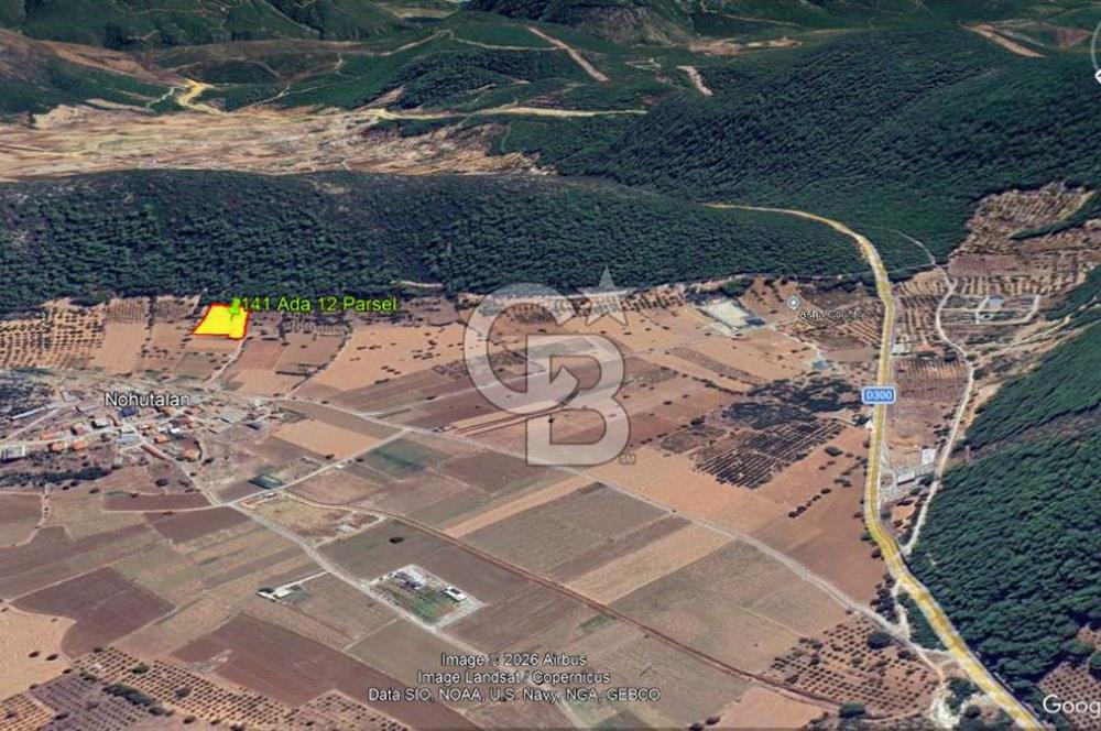Urla Nohutalan Satılık Doğa İçinde Yatırımlık Tarla
