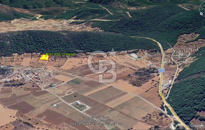 Urla Nohutalan Satılık Doğa İçinde Yatırımlık Tarla