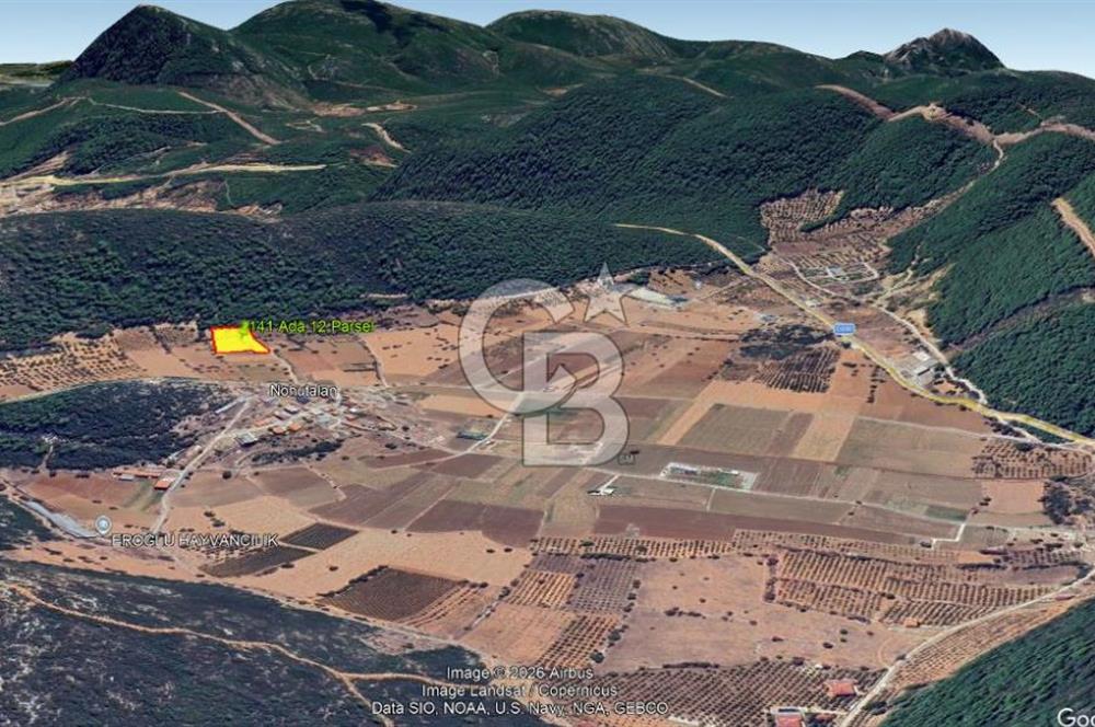 Urla Nohutalan Satılık Doğa İçinde Yatırımlık Tarla