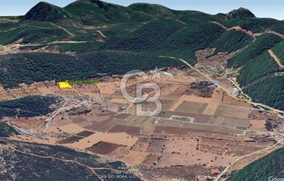 Urla Nohutalan Satılık Doğa İçinde Yatırımlık Tarla