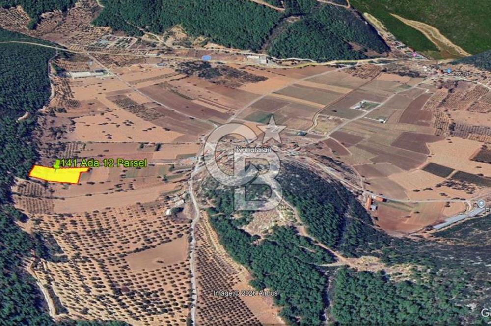 Urla Nohutalan Satılık Doğa İçinde Yatırımlık Tarla