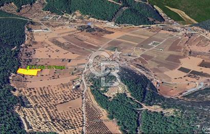 Urla Nohutalan Satılık Doğa İçinde Yatırımlık Tarla