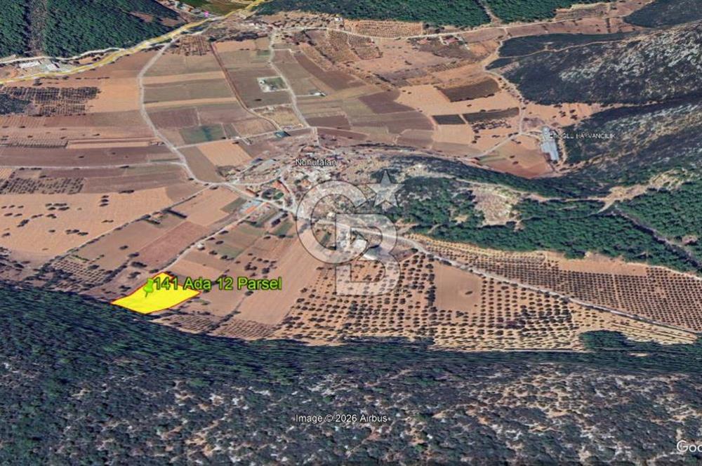 Urla Nohutalan Satılık Doğa İçinde Yatırımlık Tarla