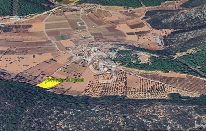 Urla Nohutalan Satılık Doğa İçinde Yatırımlık Tarla