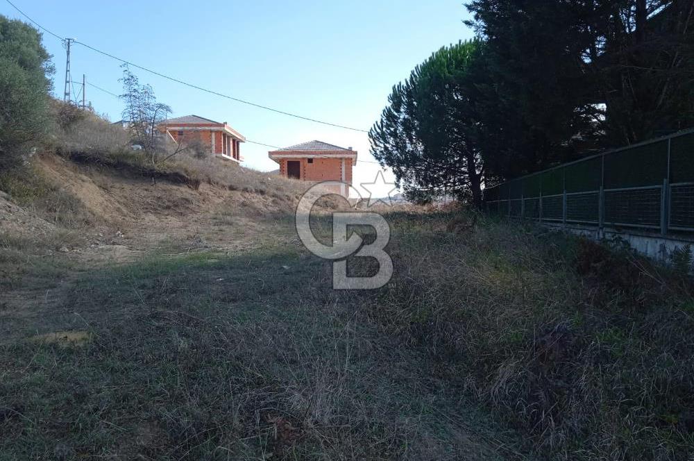 ŞİLE BALİBEY'DE 600 m² TERKİ OLMAYAN VİLLA İMARLI ARSA