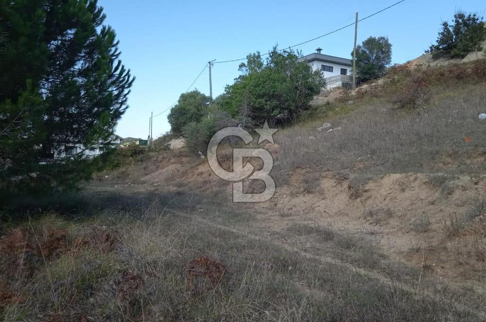 ŞİLE BALİBEY'DE 600 m² TERKİ OLMAYAN VİLLA İMARLI ARSA