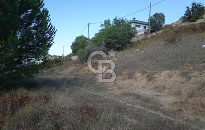 ŞİLE BALİBEY'DE 600 m² TERKİ OLMAYAN VİLLA İMARLI ARSA