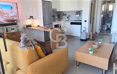 Bodrum Bitez Asarlıkta Rezidans Havuzlu Kiralık Eşyalı 1+1 Daire